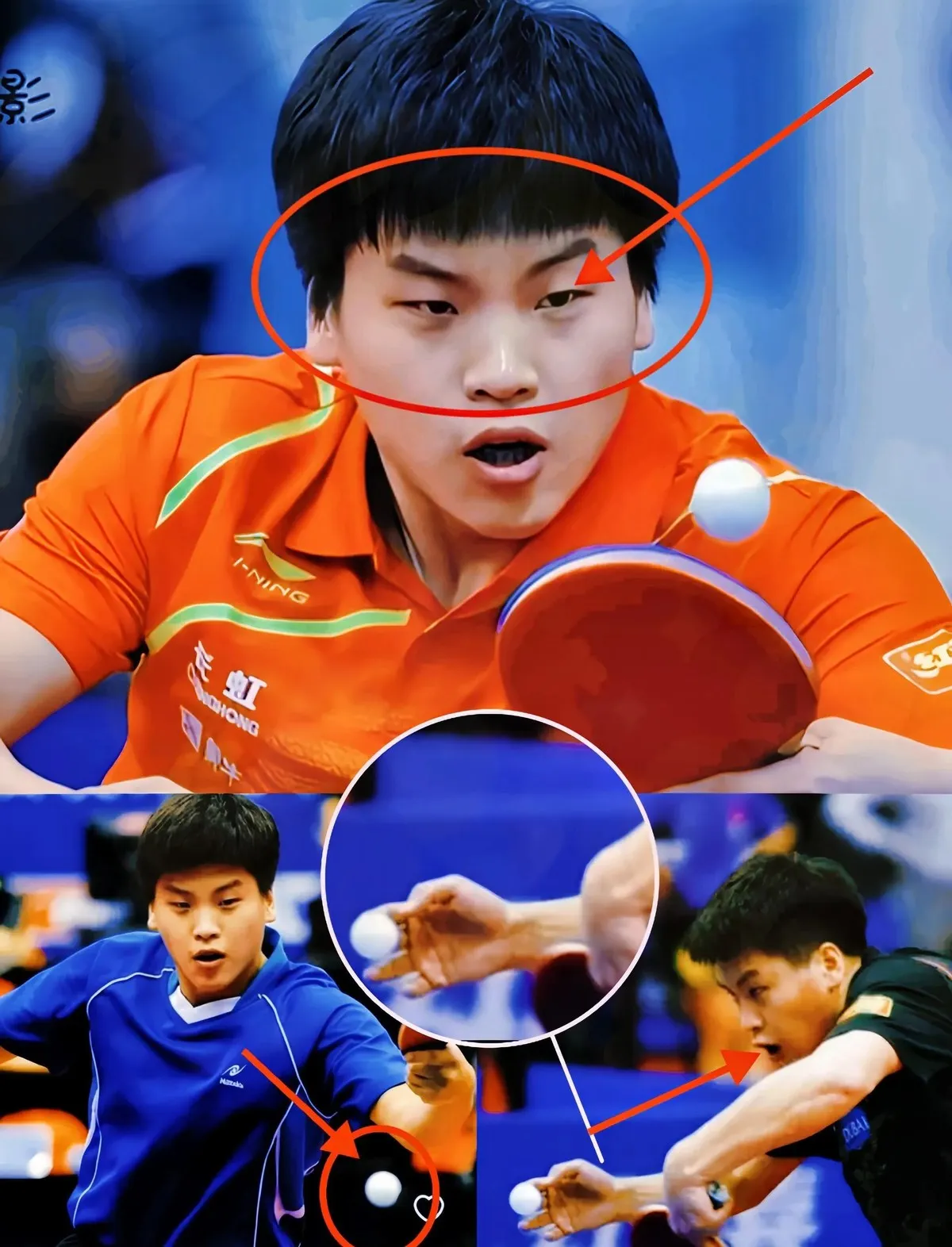 比利时乒乓球队完胜日本乒乓球队,张继科爆发神勇 比利时乒乓球队完胜日本乒乓球队,张继科爆发神勇