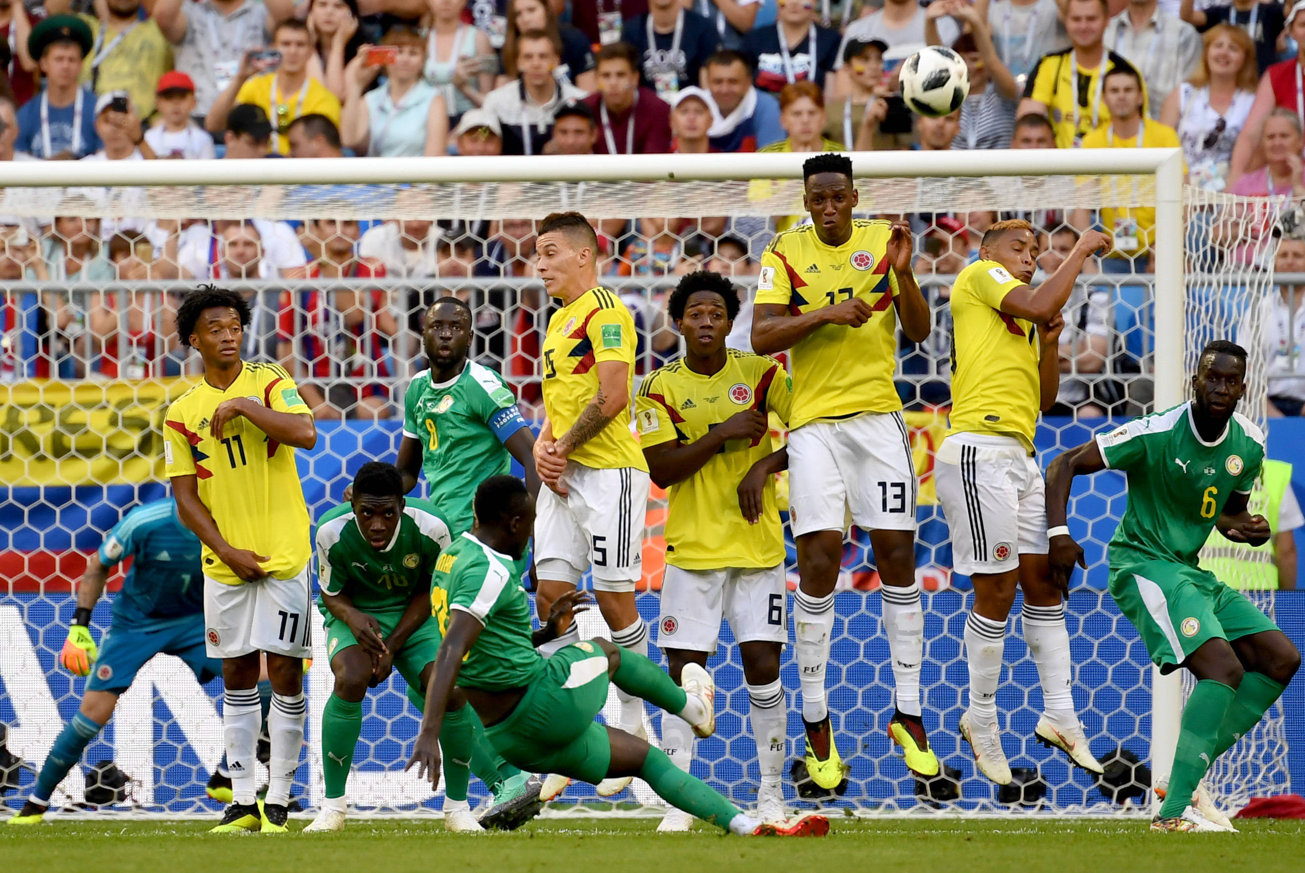 专家预测美洲杯胜率超六成，结果成焦点的简单介绍