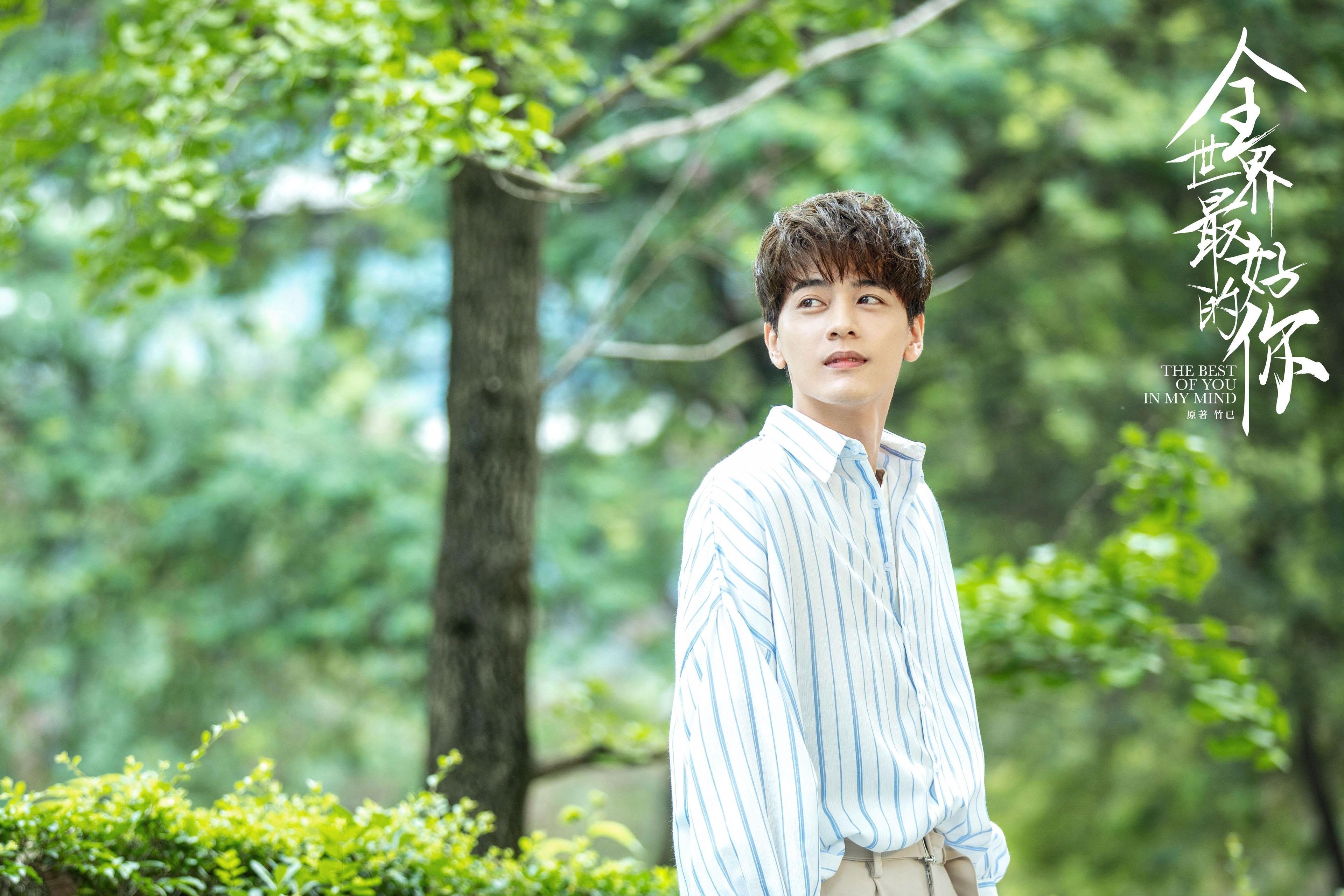 孤勇者的王冠与阴影,当郑思维的火热,照见羽球场上的胜负辩证法