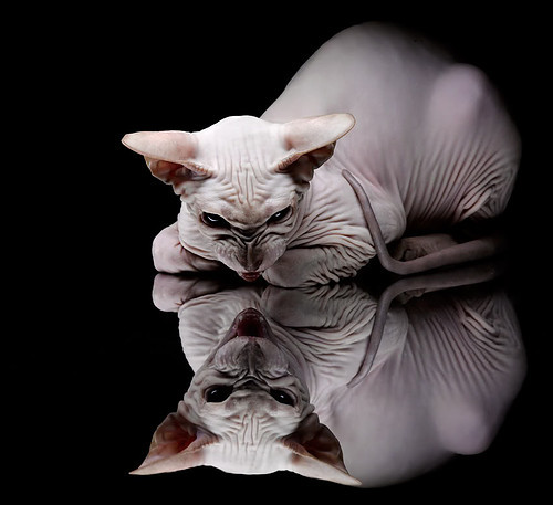 从法拉盛滑铁卢到都灵涅槃,鲁德如何完成年度最惊艳逆袭