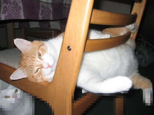 爱游戏入口-独舞者的交响乐，孙兴慜在世界排名争夺战之夜引领全队节奏