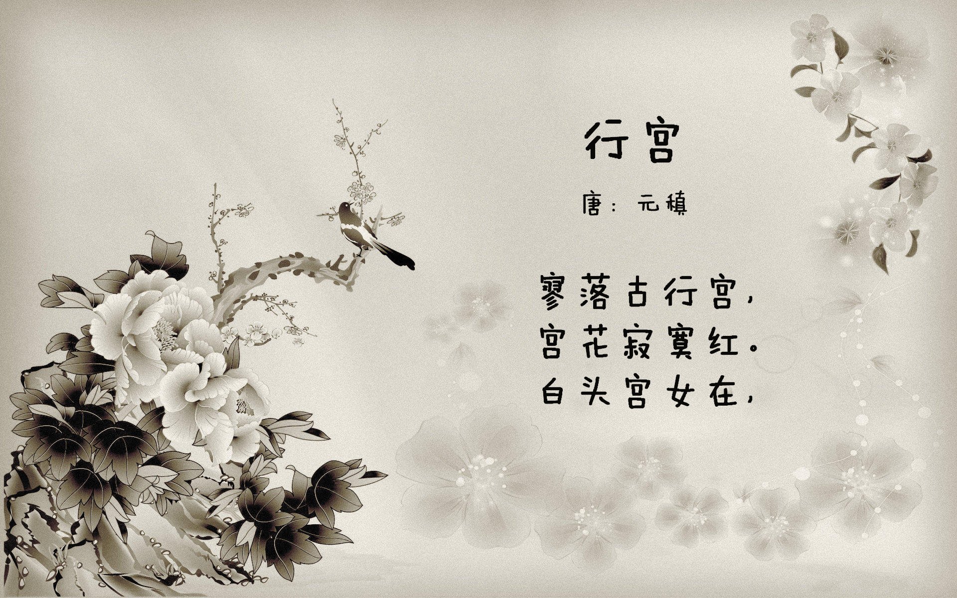 布克在迈阿密的热焰上,写下了太阳神独有的篮球圣经