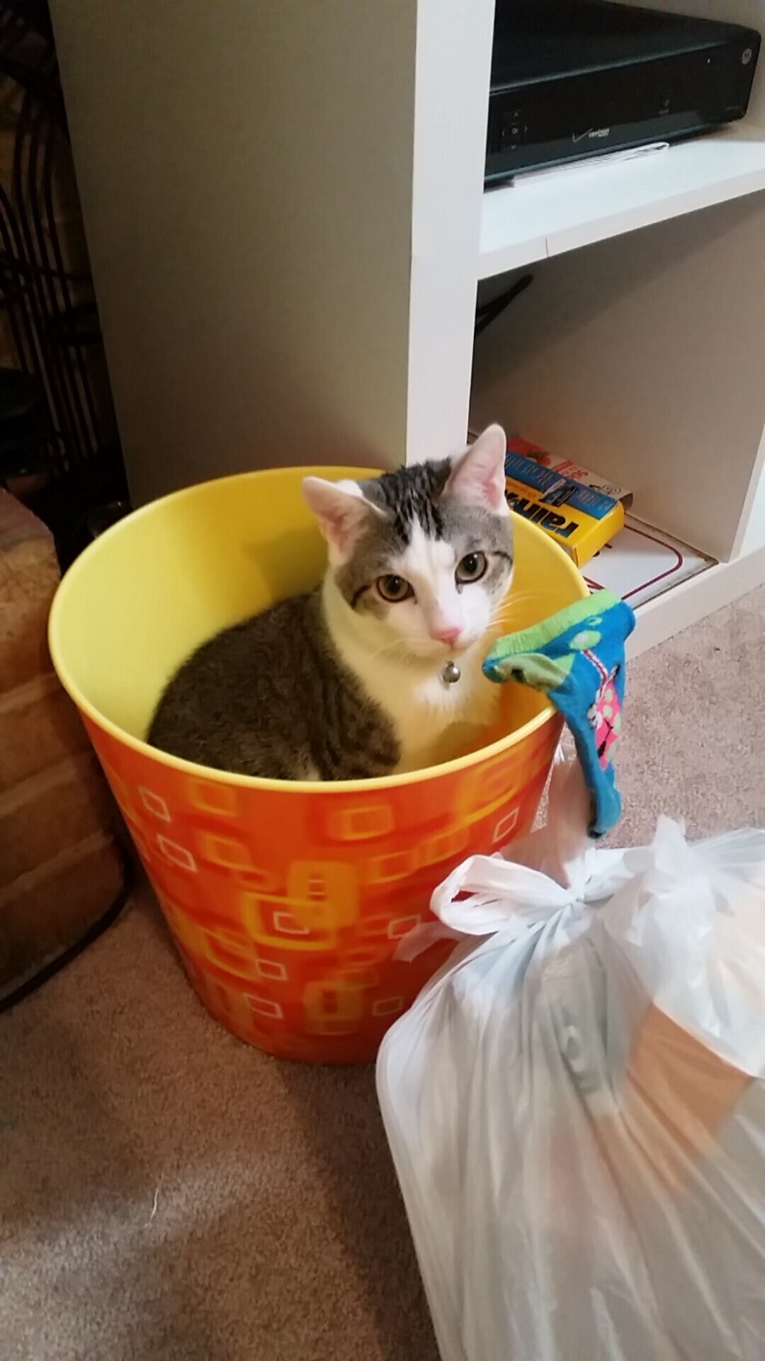 爱游戏大厅-当精密仪器拉什福德稳定输出，英格兰以交响乐节奏拆解塞维利亚的狂想曲