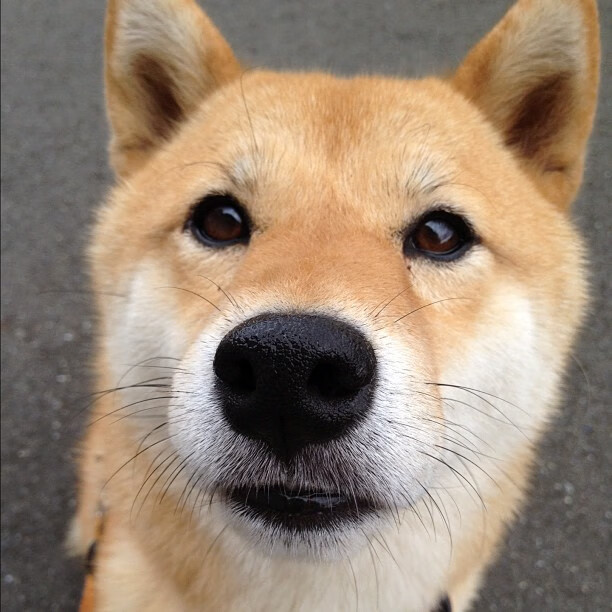 爱游戏APP-特级大师赛上的冷锋时刻，加克波关键一掷，改写中埃巅峰棋局