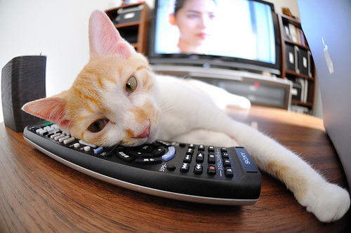 马克西狂轰45分，森林狼窒息防守全面压制山西队