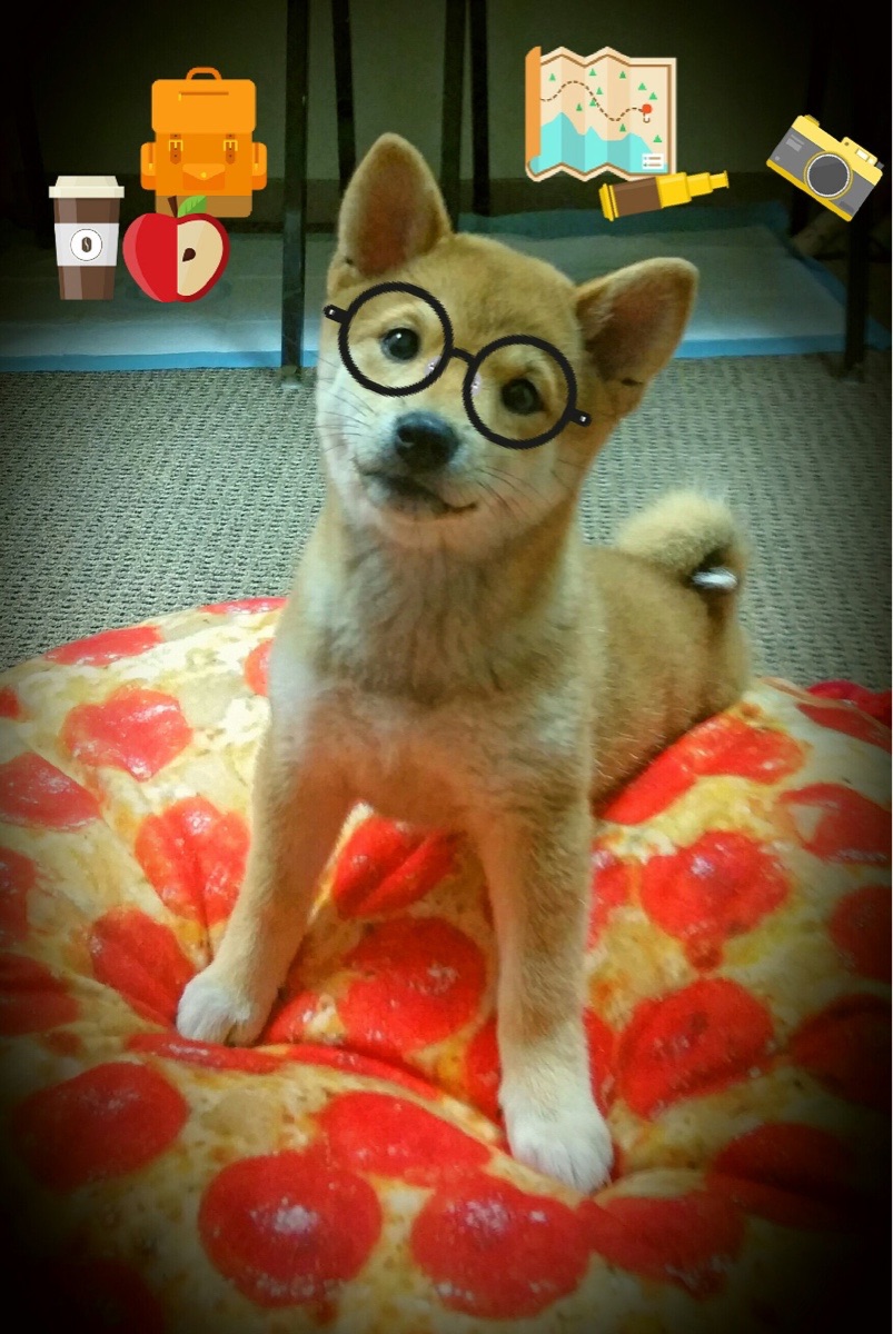 风暴之眼,武切维奇在决胜夜的攻防艺术