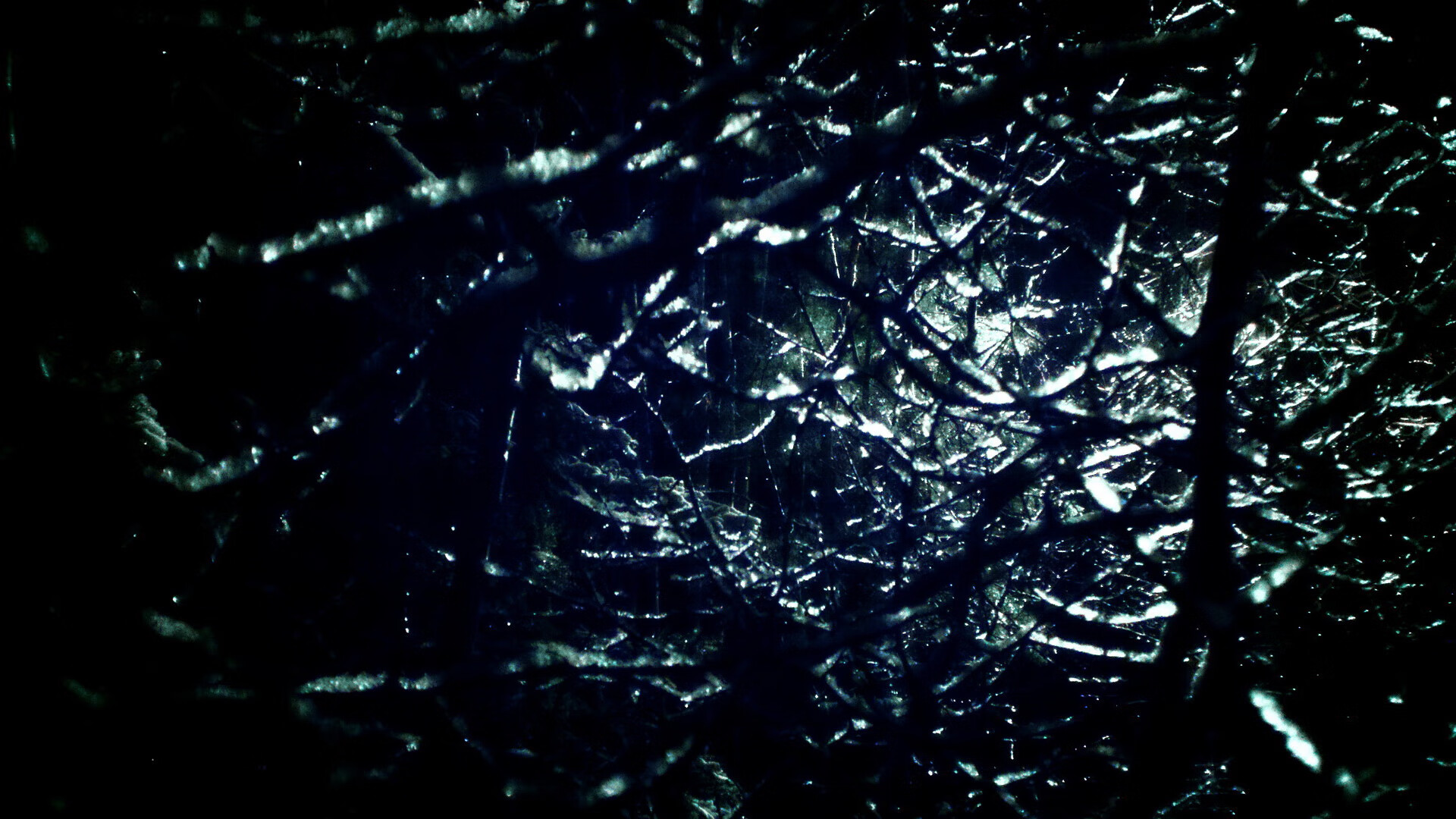 降维打击，当蓝色盾牌驶入F1赛道