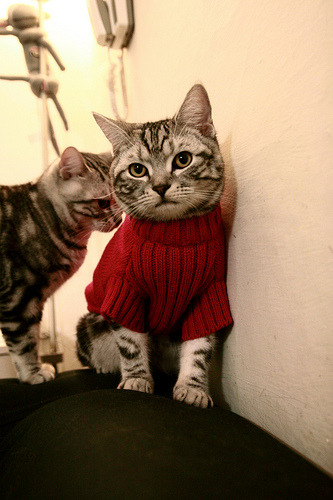 十年后的勋章与六年前的基因，当2026伦纳德接管比赛时，上海已预演过胜利