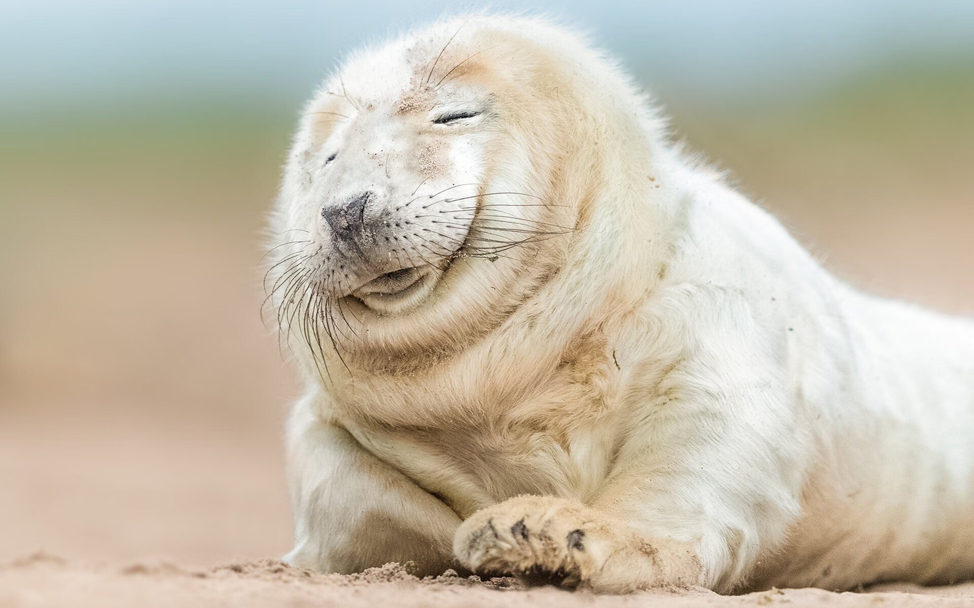 北欧风暴席卷加勒比,京多安的收割艺术与一场定义唯一性的胜利