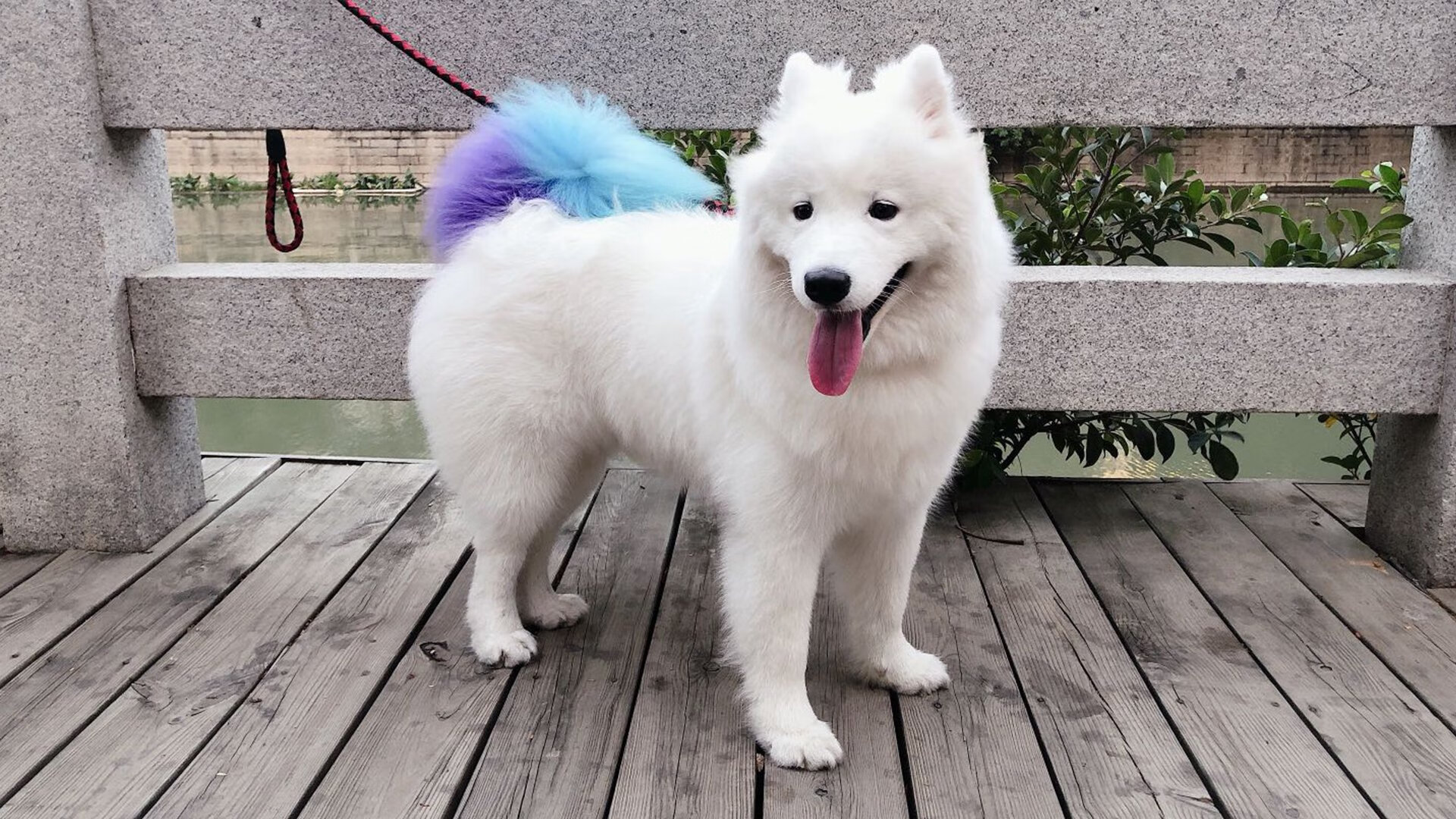 瑞士防线背后的风暴眼,厄德高导演阿森纳的精准穿透