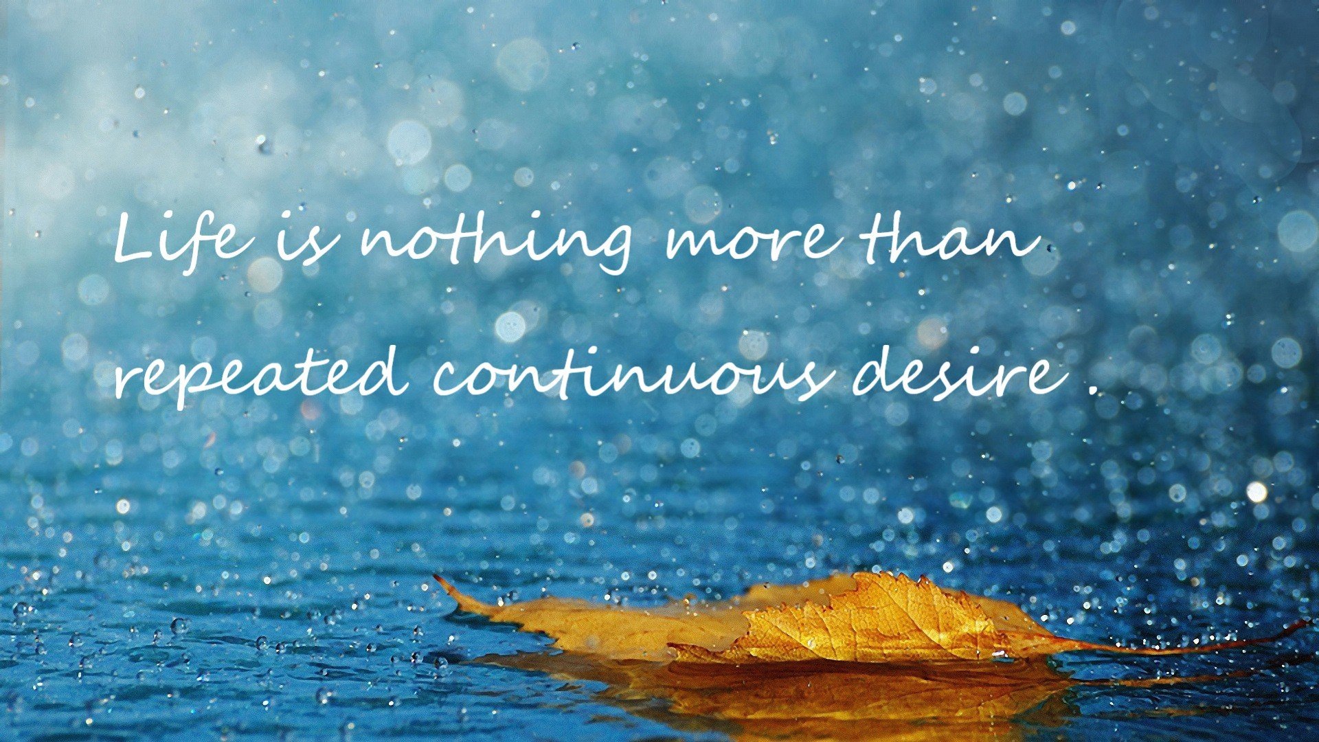 跨界狂想曲，喀麦隆足球横扫澳大利亚，迪马利亚NBA总决赛化身篮球之神