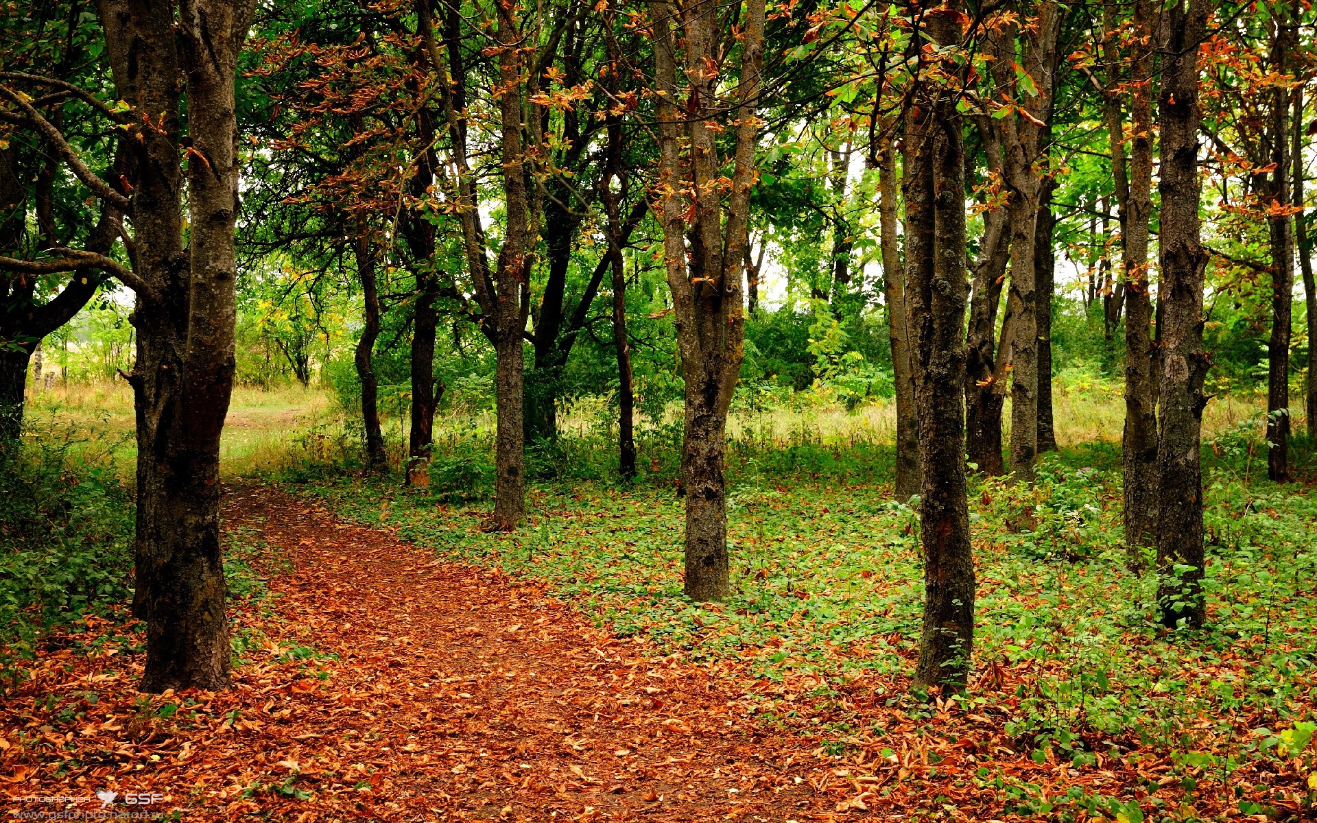 爱游戏官方入口-跨界风暴，篮球巨星杰伦格林如何一手掌控欧冠决赛之夜