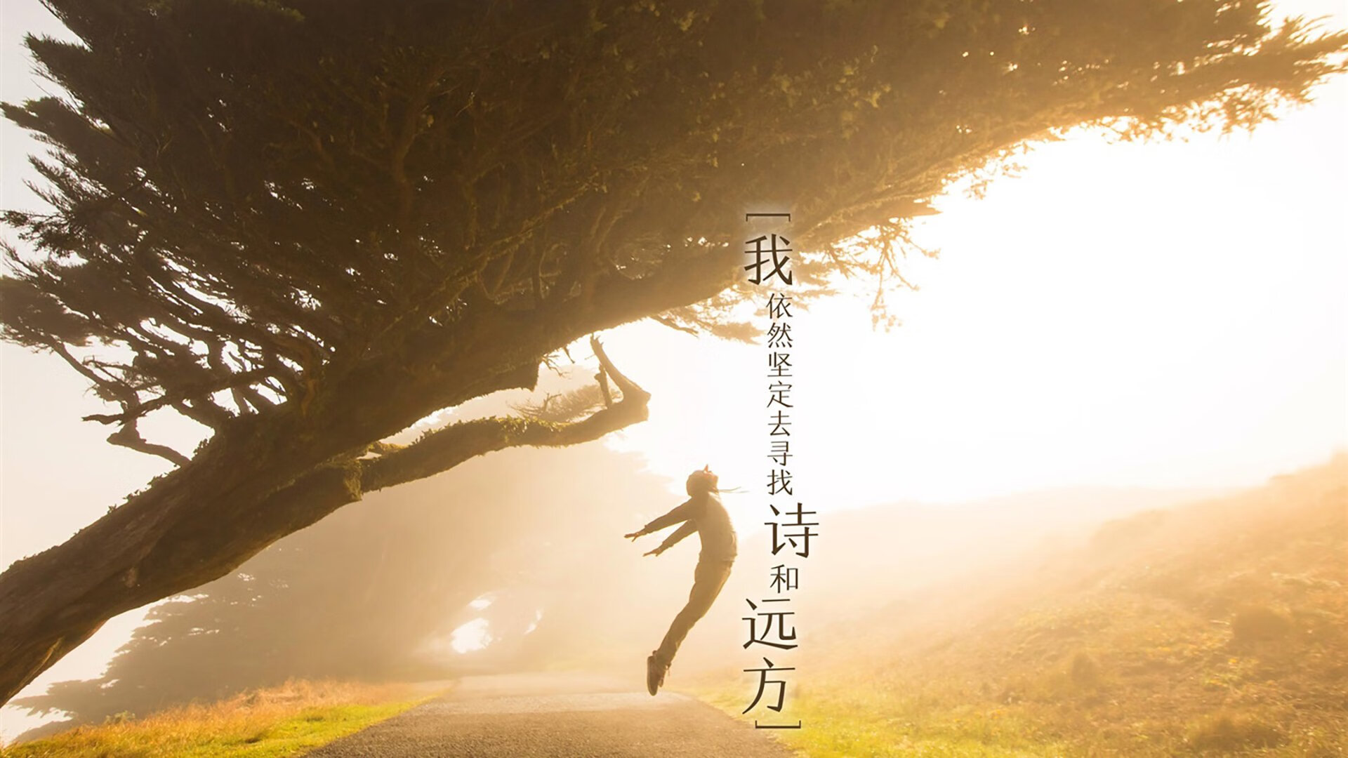 平行时空的交错，当萨拉赫助攻曼联，谱写欧冠最离奇翻盘序章