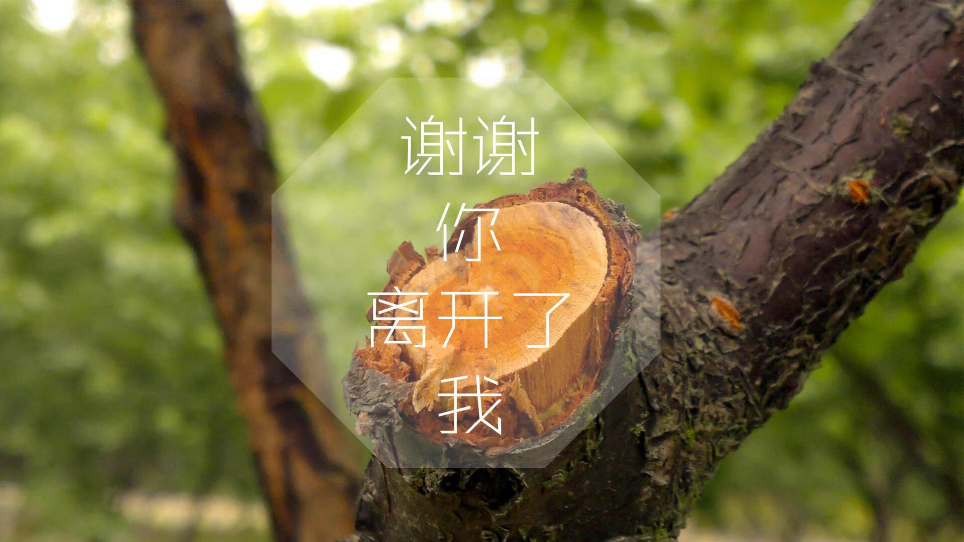 爱游戏下载-冰与火之歌，2026世界杯黑马之战，哈兰德剑指意大利，北欧神话能否再临？