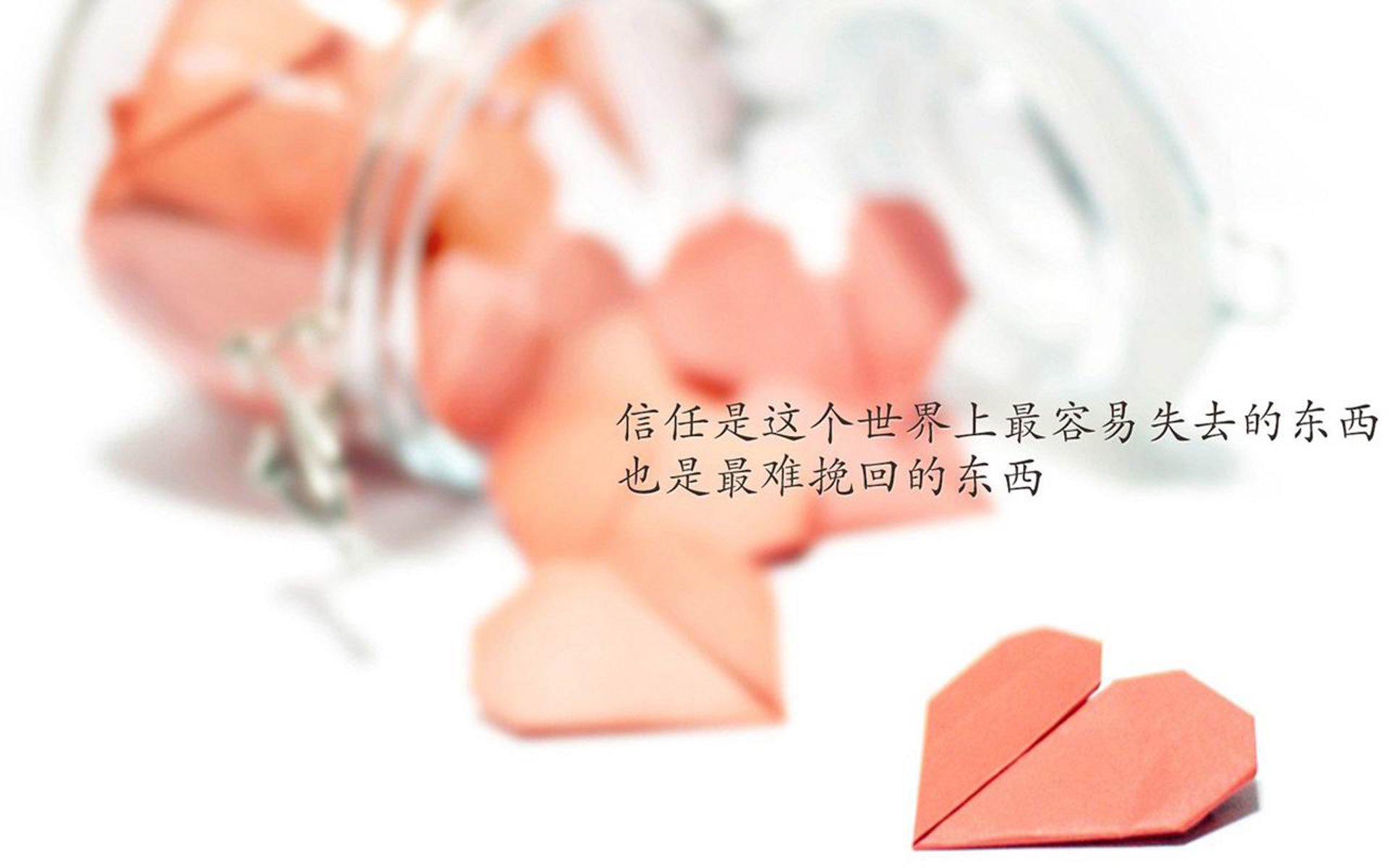 蒙得维的亚的蓝与白，2026，那一次与神并肩的颤栗