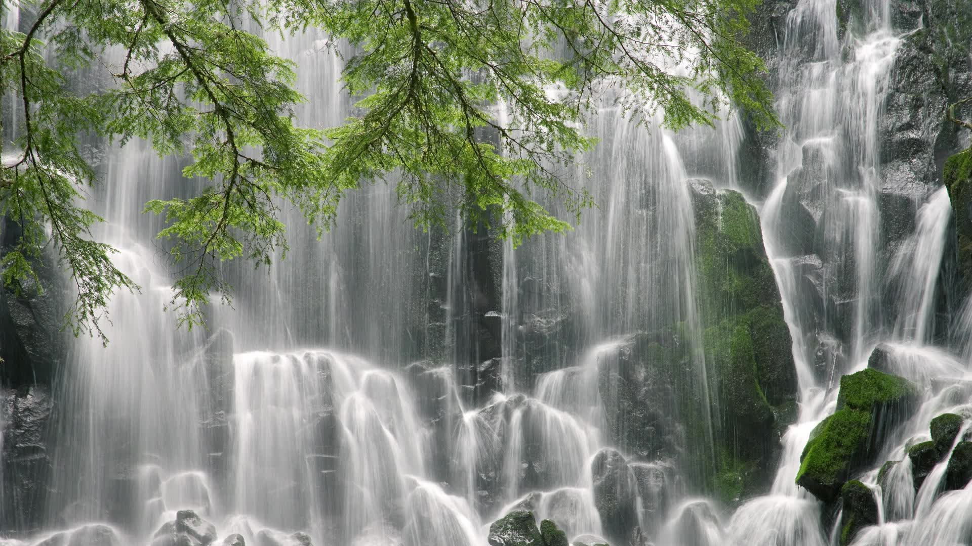 唯一性,苏亚雷斯与2026世界杯C组那场不可复制的对决