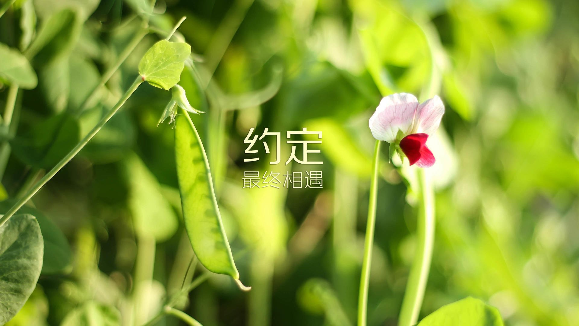 构思